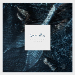 Old Rain on a New Day