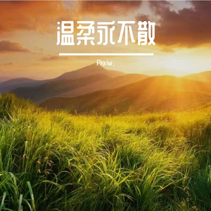 重爱虚构温柔