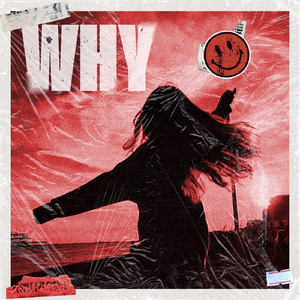 Why (feat. Veetee)
