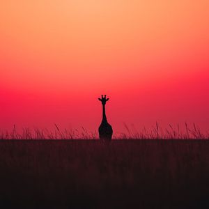 Around the World - Slowed & Reverb