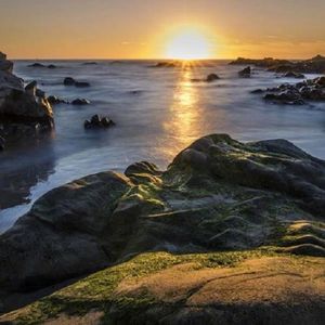 夕阳下的最后一滴眼泪