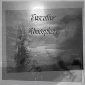 the vineyard and the dark grey forest