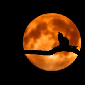 倚栏听风（翻自 郑国锋）