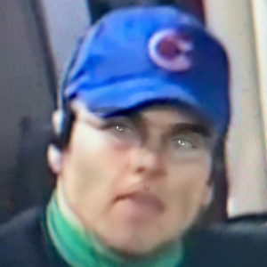 Steve Bartman