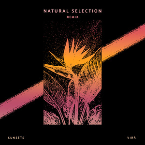 Natural Selection (iamsunsets Remix)