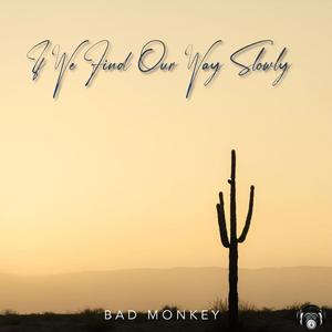 If We Find Our Way Slowly