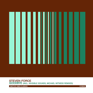 Goodbye (Invisible Sounds' in Love with NY Mix)