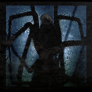 Araneae
