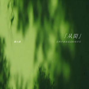 森林海（平静放松 舒缓疗愈 轻松入睡 治愈纯音乐）