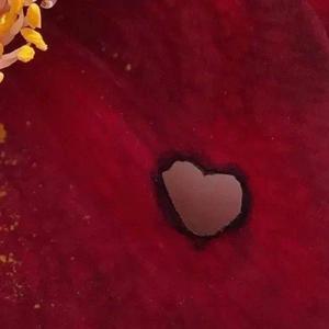 黄昏之时&三叶主题曲（改编）