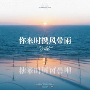 你来时携风带雨