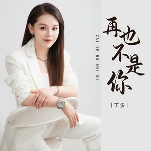 再也不是你 (DJ豪大大版伴奏)