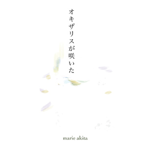 オキザリスが咲いた