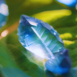 Blue Radiance That Paints the Heart