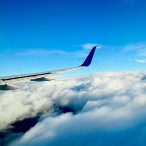 Flights