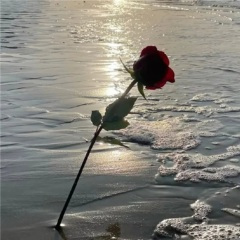 菲律宾没有雪马尼拉也没有爱