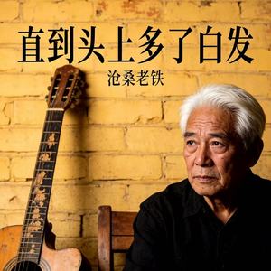 直到头上多了白发