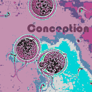 Conception