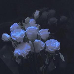 那些错过的都已死去（Prod by Red Killer）