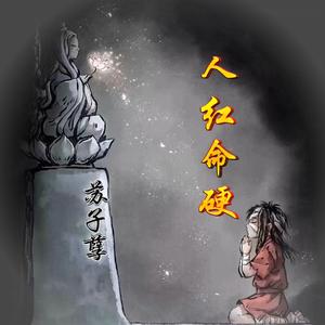 苏子孽《再也不会想你了（DJ版）》