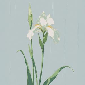 アイリスのように