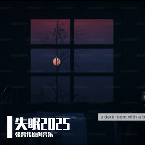 张晋伟 - 失眠2025