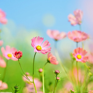 Сибэккилээх кырдал кэрэ кэмнэрэ...