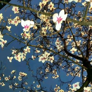 [Free] “童年” Emo X Toosii Type Beat