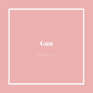 Gun