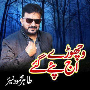 Vichore Ajj Pay Gaye