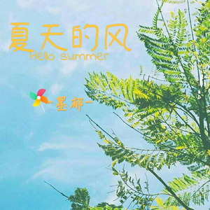 夏天的风(男声版)