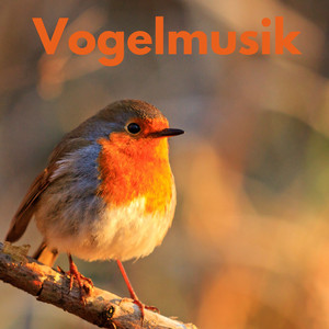 Vogelstimmen