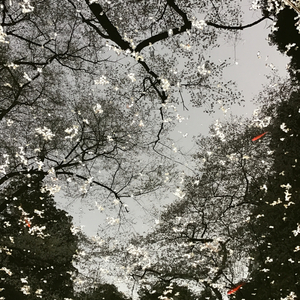 私には夢がある (英語版)