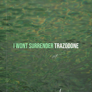 I Wont Surrender