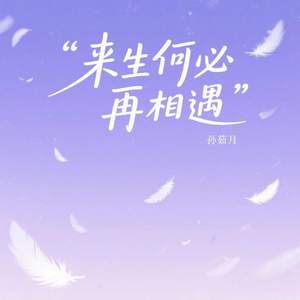 来生何必再相遇