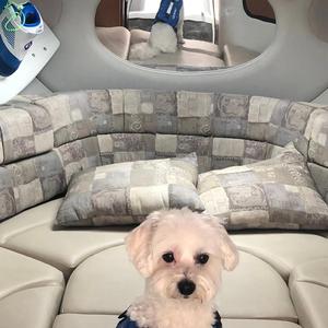 From Desert Dust to Ocean Trust (remastered)