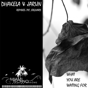 What You Are Waiting For (Original Mix)