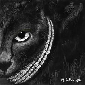 2.14，我想说的 伴奏