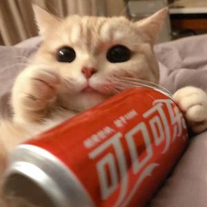 桥边姑娘-小奎（翻唱）