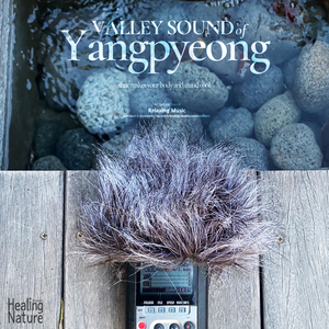 몸과 마음이 시원해지는 양평의 계곡 물소리