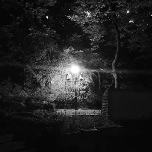 각본