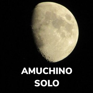solo (radio edit)