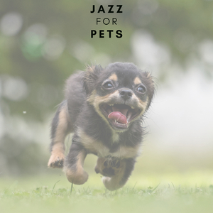 Pawsitively Pianistic