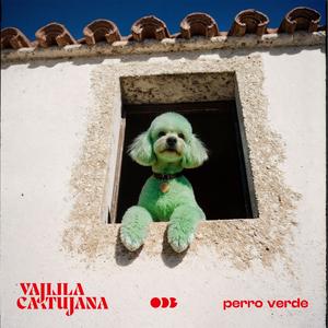 perro verde