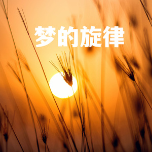 梦的旋律