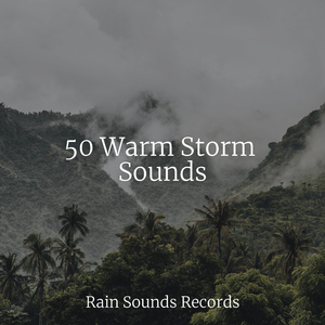 Echoes in the Quiet Night