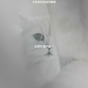 温和小猫梦想