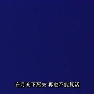 Shiloh Dynasty-我的消息你爱回不回不回算了我们也算了（Brokenboi remix）