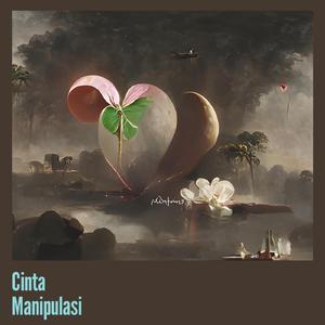 Cinta Manipulasi