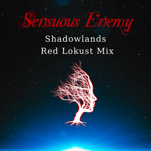 Shadowlands (Red Lokust Remix)